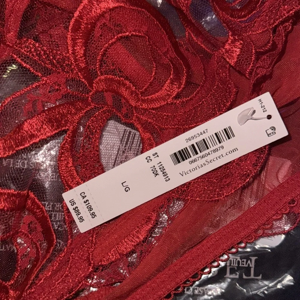 VERY SEXY Tied-with-a-Bow‎ Embroidery Plunge Teddy